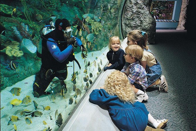 Skip the Ticketing Line: Aquarium of the Pacific General Admission Ticket - Shark Lagoon, Seals, and Sea Lions