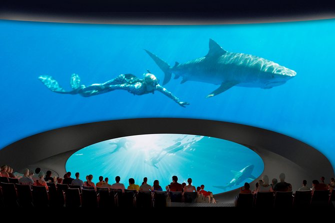 Skip the Ticketing Line: Aquarium of the Pacific General Admission Ticket - How Long to Stay and When Crowds Matter