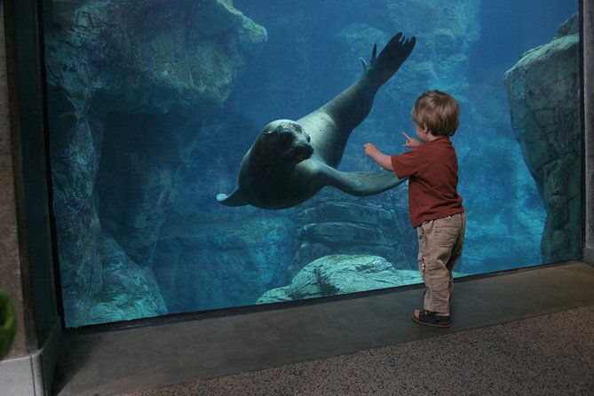 Skip the Ticketing Line: Aquarium of the Pacific General Admission Ticket - Parking, Transit, Food, and Mobility