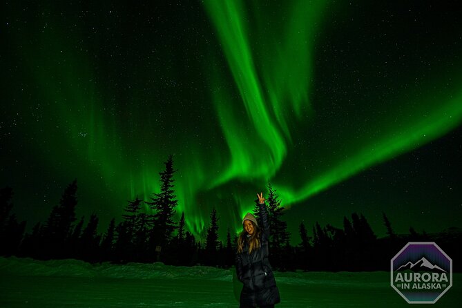 SkyChase™ | Northern Lights Experience - Free Photography & More - North Pole and the route toward Chena