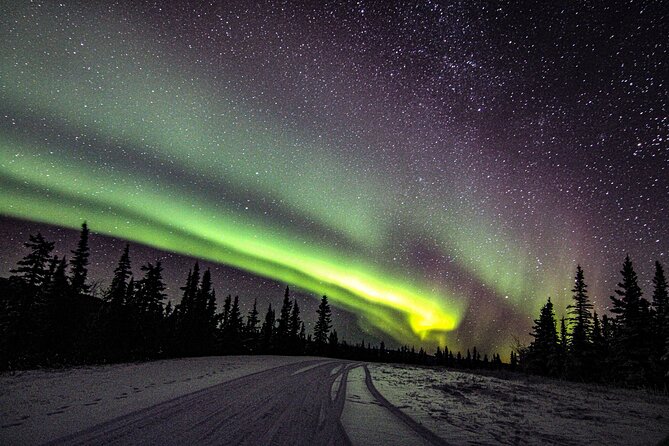 SkyChase™ | Northern Lights Experience - Free Photography & More - Photography that helps, but needs realistic expectations