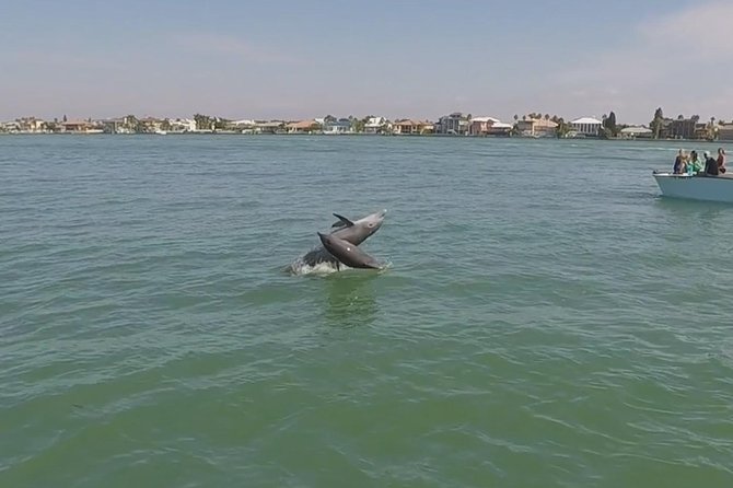 Small Group 2 Hour Dolphin Cruise with Snorkeling to Shell Key - Is $75 a fair price?