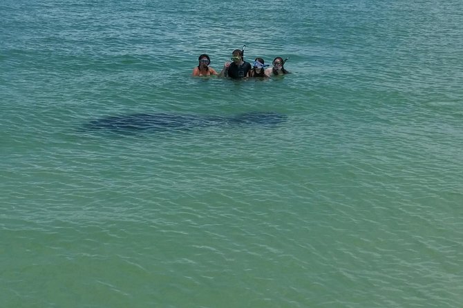 Small Group 2 Hour Dolphin Cruise with Snorkeling to Shell Key - Timing, weather, and cancellation details