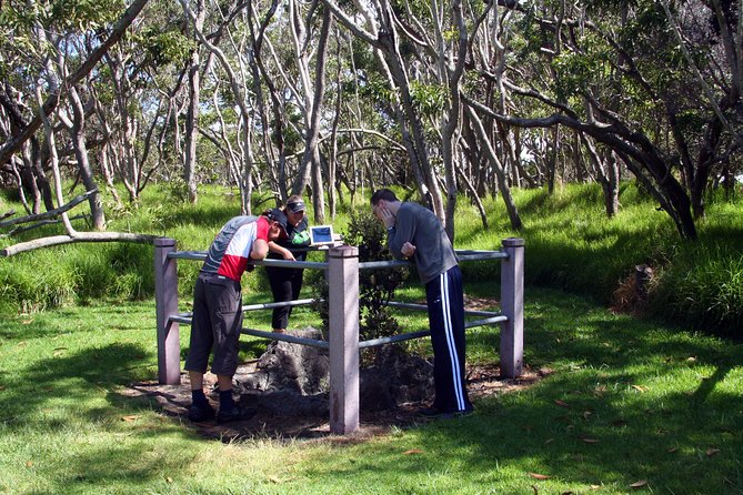 Small-Group Big Island Tour: Hawaii Volcanoes National Park and Kona Coffee Farm - How much value do you get for $209?