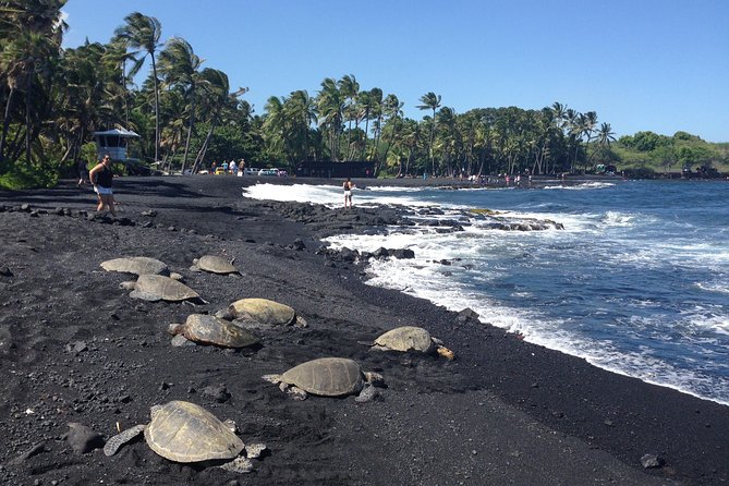 Small-Group Big Island Tour: Hawaii Volcanoes National Park and Kona Coffee Farm - The south coast and Punalu’u’s black sand