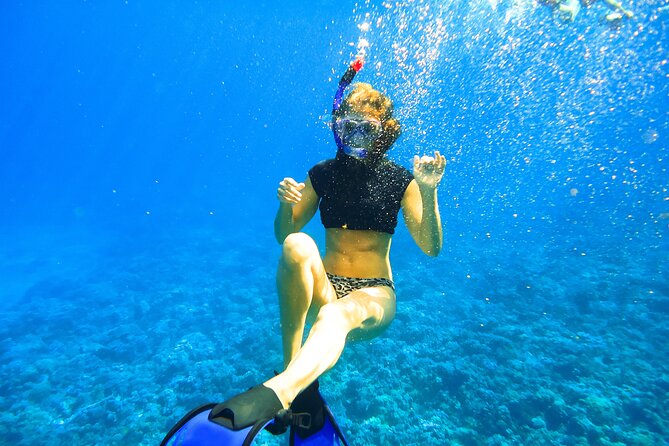 Small Group Coral Gardens Snorkel & Waterslide Adventure - The waterslide is fun, fast, and optional