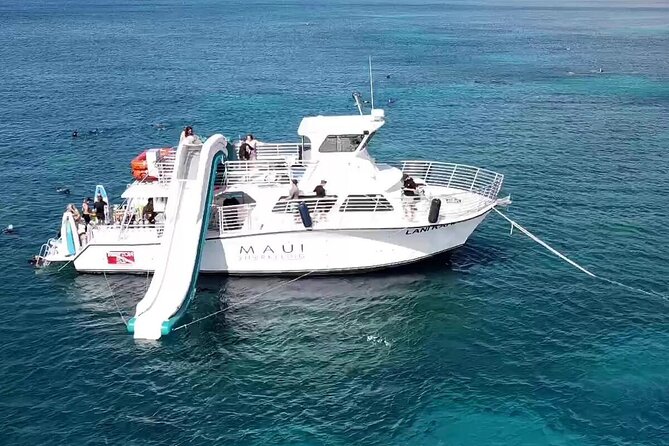 Small Group Coral Gardens Snorkel & Waterslide Adventure - Whale watching on the way out and back