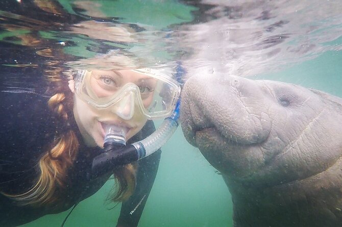 Small Group Manatee Snorkel Tour with In-Water Guide and Photographer - Riding the Van and Heated Enclosed Pontoon Boat
