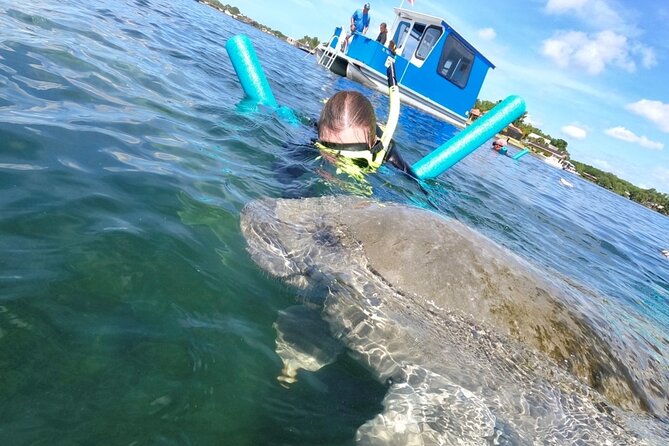 Small Group Manatee Snorkel Tour with In-Water Guide and Photographer - Why the Six-Person Limit Matters