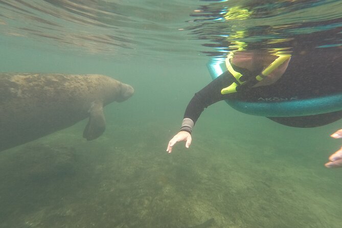 Small Group Manatee Snorkel Tour with In-Water Guide and Photographer - Who Will Enjoy This Tour Most?