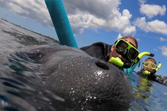 Small Group Manatee Snorkel Tour with In-Water Guide and Photographer - Meeting the Manatees in Their Natural Habitat