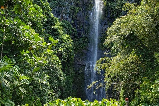 Small-Group Road to Hana Adventure Tour with Pickup & Lunch - The Road to Hana in Five Useful Points