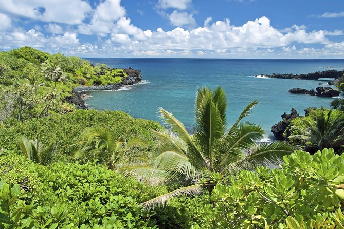 Small-Group Road to Hana Adventure Tour with Pickup & Lunch - Why Take a Guided Road to Hana Trip?