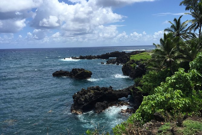 Small-Group Road to Hana Adventure Tour with Pickup & Lunch - Pua’a Ka’a State Park and Waterfall Time