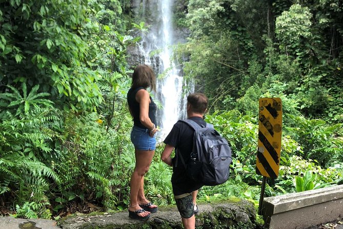 Small-Group Road to Hana Adventure Tour with Pickup & Lunch - Wailua Valley and the Roadside Sights