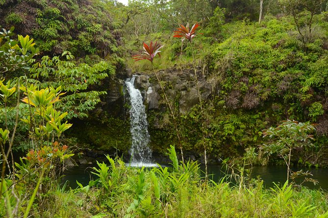 Small-Group Road to Hana Luxury Tour - Keʻanae Point, Taro Fields, and Rough Pacific Surf