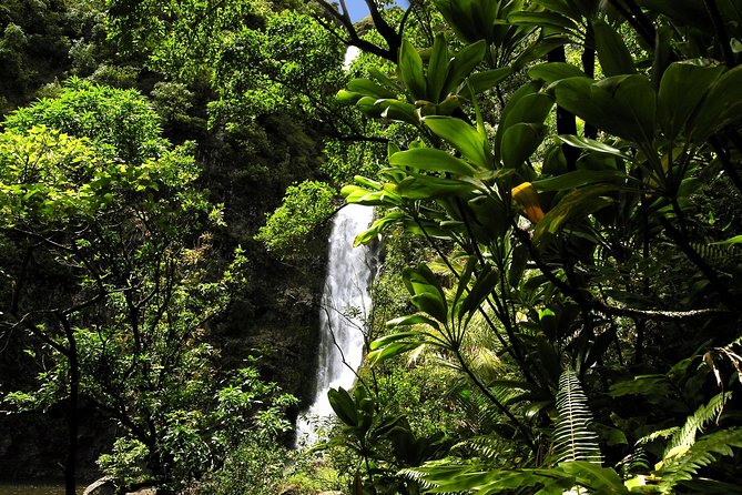 Small-Group Road to Hana Luxury Tour - Meals, Drinks, and the Difference Between Packages