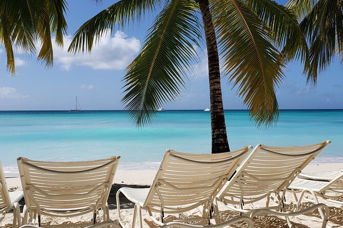 Small Group: Saona Island Full Day Tour - Why Saona Island Is Worth a Full Day