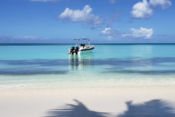 Small Group: Saona Island Full Day Tour - The Small Group Advantage