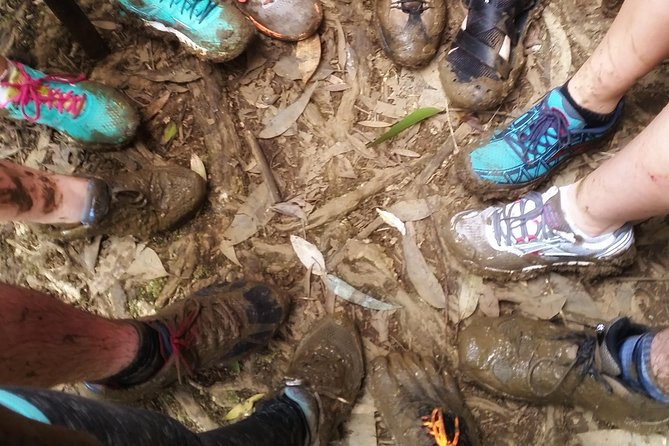 Small Group Waterfall and Rainforest Hiking Adventure on Maui - A 9:30 a.m. start at Kahului Park and Ride