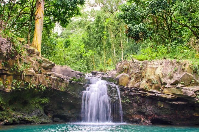 Small Group Waterfall and Rainforest Hiking Adventure on Maui - Guides who turn a walk into an island lesson