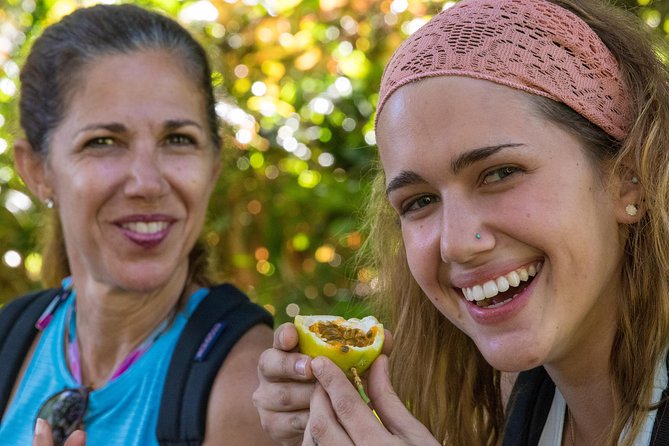 Small Group Waterfall and Rainforest Hiking Adventure on Maui - Lunch, snacks, and the real value of $187.43