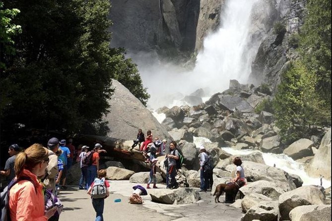 Small Group Yosemite and Giant Sequoias Day Trip from San Francisco - The guide can make or break a 14-hour day