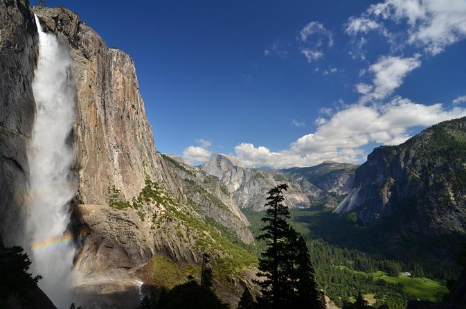 Small Group Yosemite and Giant Sequoias Day Trip from San Francisco - Tuolumne Grove and the giant sequoias