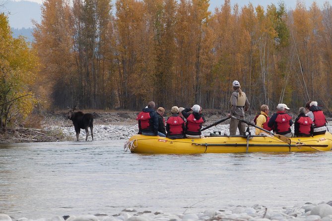 Snake River Scenic Float Trip with Teton Views in Jackson Hole - Grand Teton views from the Snake River