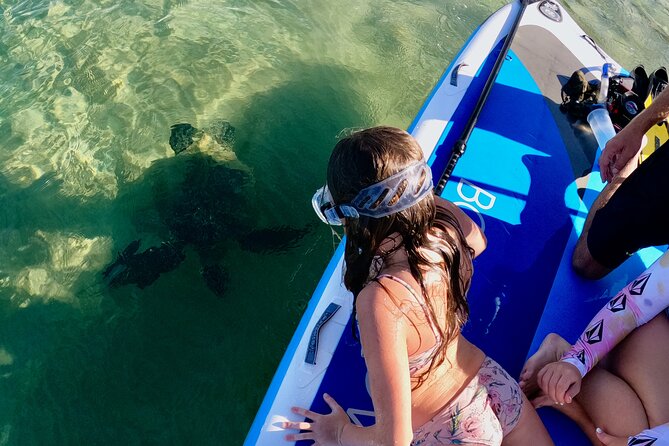 Snorkeling for Non-Swimmers with Photos Guided Tour Wailea Beach - The first 20 minutes: gear, breathing, and floating