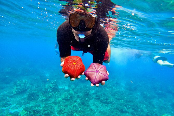 Snorkeling for Non-Swimmers with Photos Guided Tour Wailea Beach - What you may see below Wailea’s surface