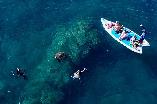 Snorkeling for Non-Swimmers with Photos Guided Tour Wailea Beach - Is $149 a fair price?
