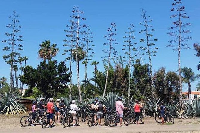 SoCal Riviera Electric Bike Tour of La Jolla and Mount Soledad - Fay Avenue, plants, paths, and a quieter side of La Jolla