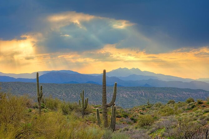 Sonoran Desert Jeep Tour at Sunset - Key points to know before you book