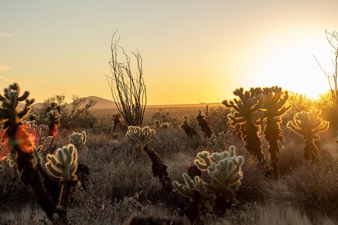 Sonoran Desert Jeep Tour at Sunset - Pinnacle Peak and North Scottsdale’s desert views