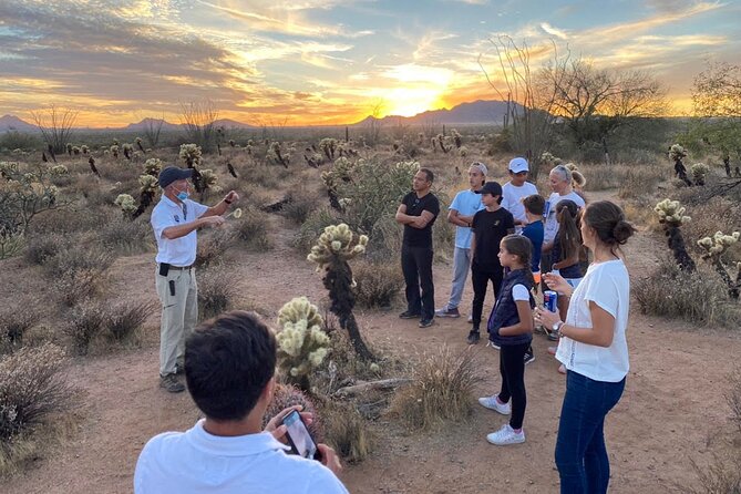Sonoran Desert Jeep Tour at Sunset - Sunset among the saguaros