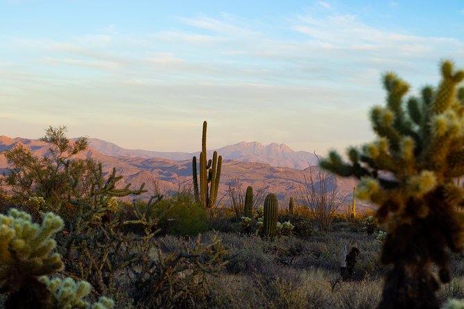 Sonoran Desert Jeep Tour at Sunset - What the guides add to the experience