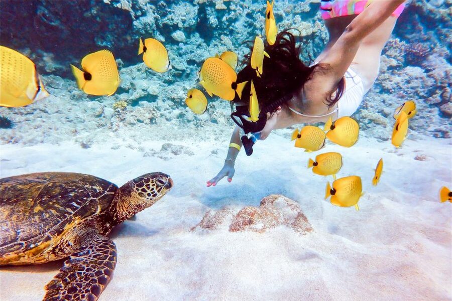 South Maui: Molokini Snorkeling Adventure - Practical tips for a smoother morning