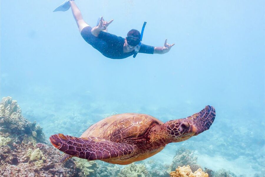 South Maui: Molokini Snorkeling Adventure - Molokini Crater and its clear protected water