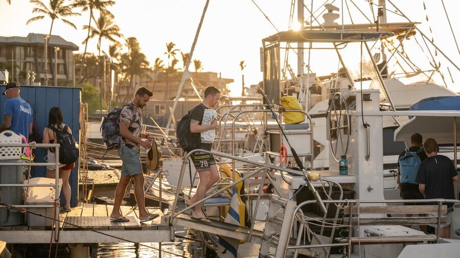 South Maui: Molokini & Turtle Town Snorkeling Tour with Meal - Quick take: what makes this Maui snorkel trip worthwhile