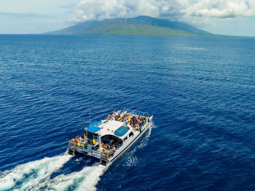 South Maui: Molokini & Turtle Town Snorkeling Tour with Meal - Who should book this Molokini snorkeling tour?