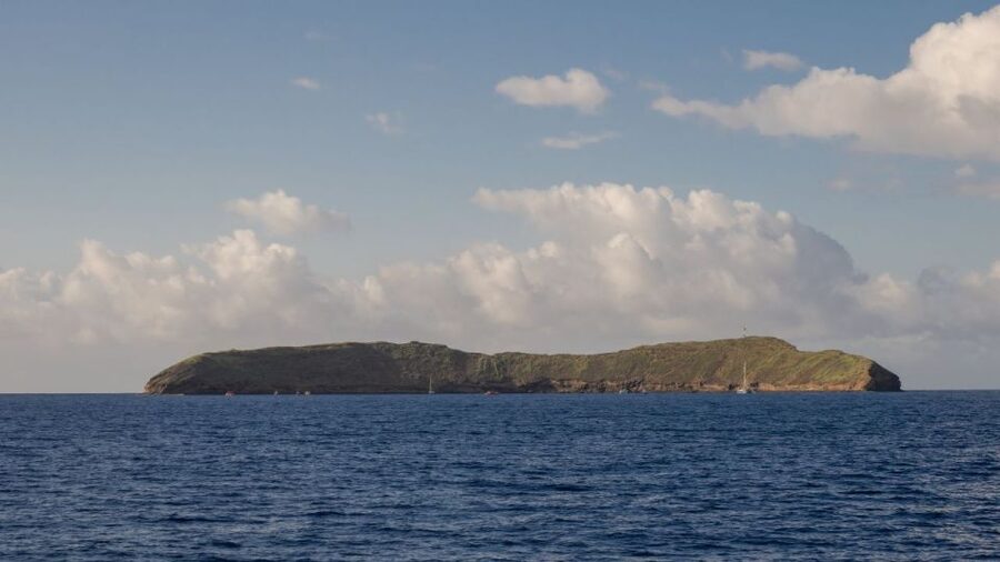 South Maui: Snorkel to Coral Gardens or Molokini Crater - Coral Gardens: a worthwhile alternative, not a consolation prize