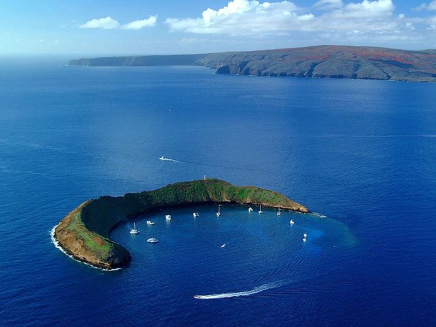 South Maui: Snorkel to Coral Gardens or Molokini Crater - Lunch, drinks, and the surprisingly good value