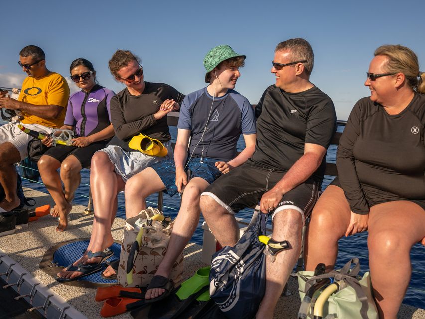 South Maui: Snorkel to Coral Gardens or Molokini Crater - Whale watching and wildlife on the return