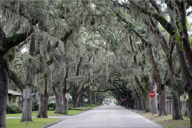 St. Augustine Hop-On Hop-Off Trolley Tour - Food, drink, and the central plaza