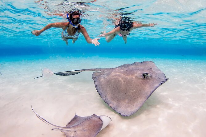 Stingray City and Starfish Experience with Coral Reef Snorkeling - The crew, boat, and onboard comforts