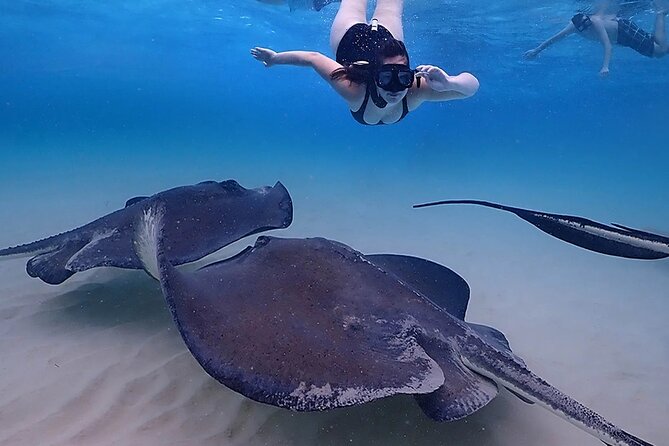 Stingray City and Starfish Experience with Coral Reef Snorkeling - Who should book this experience?