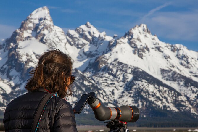 Sunrise 4-Hour Grand Teton Wildlife Adventure - What the guide adds to the morning