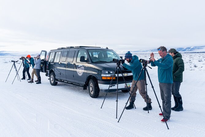 Sunrise 4-Hour Grand Teton Wildlife Adventure - Who should book the four-hour morning safari?