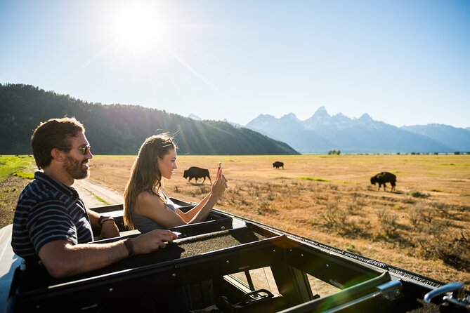 Sunset 4-Hour Grand Teton Wildlife Adventure - What you may see along the route